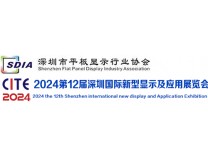 2024深圳国际新型显示及应用展