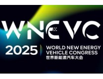 2025第七届世界新能源汽车大会
